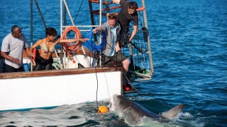 Кадр з фільму Заклинателька акул