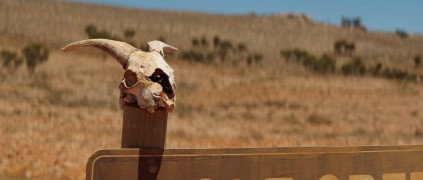 Кадр з фільму Вовча яма 2