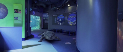 Кадр з фільму Акваріум мерців