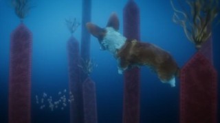 Кадр з фільму Королівський коргі