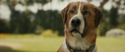 Кадр з фільму Поклик пращурів