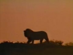 Кадр з фільму Втрачена ланка