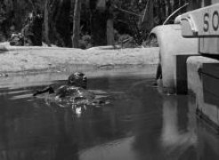 Кадр з фільму Плата за страх