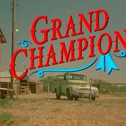 Кадр з фільму Великий Чемпіон