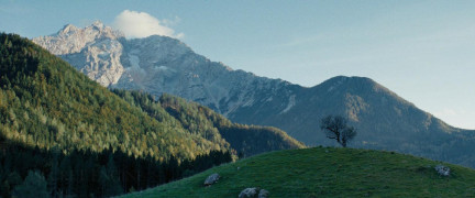 Кадр з фільму Смерть єдинорога