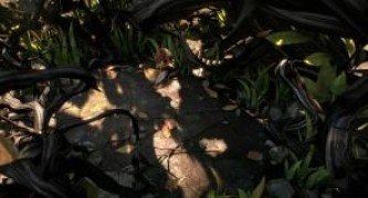 Кадр з фільму Махни крилом!