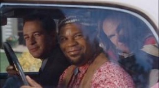 Кадр з фільму Діамантовий пес