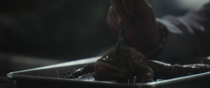 Кадр з фільму Палійка