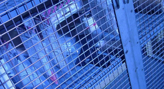 Кадр з фільму Наречена Чакі