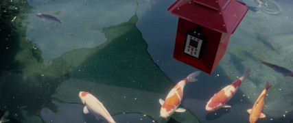 Кадр з фільму Все гаразд