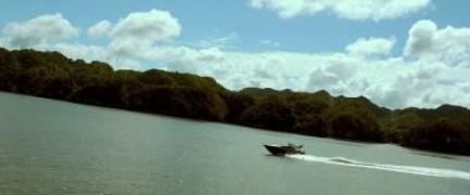 Кадр з фільму Вірус. Нульовий пацієнт