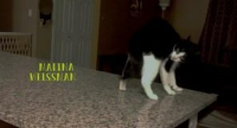 Кадр з фільму Дев'ять життів