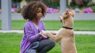 Кадр з фільму Енні