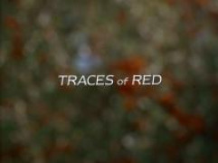 Кадр з фільму Кривавий слід