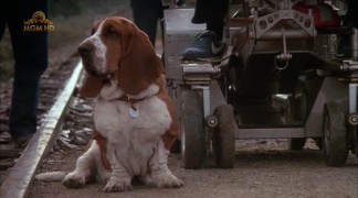 Кадр з фільму Максі