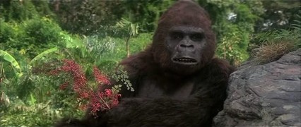 Кадр з фільму Кінг Конг живий