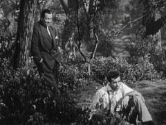 Кадр з фільму Техас, Бруклін і рай