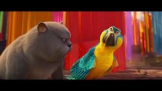 Кадр з фільму Велика котяча втеча