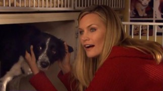 Кадр з фільму Сімейна зустріч