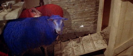 Кадр з фільму Свара