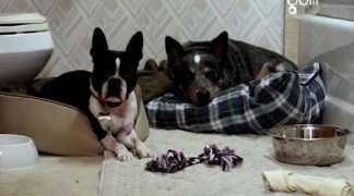 Кадр з фільму Один на Різдво