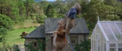 Кадр з фільму Кролик Петрик