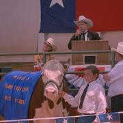 Кадр з фільму Великий Чемпіон