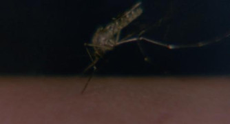 Кадр з фільму Сутінок