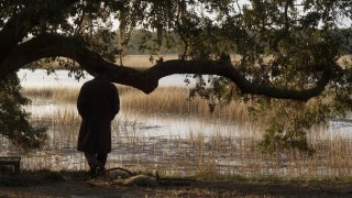 Кадр з фільму Саванна