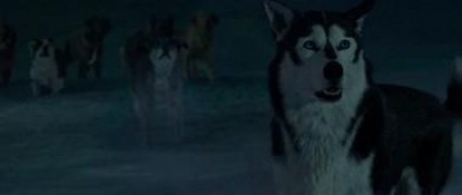 Кадр з фільму Поклик пращурів