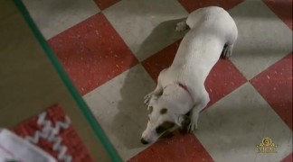 Кадр з фільму Передати у спадок