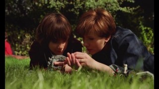 Кадр з фільму Шлюбна історія