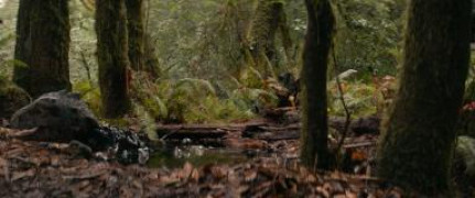 Кадр з фільму 65