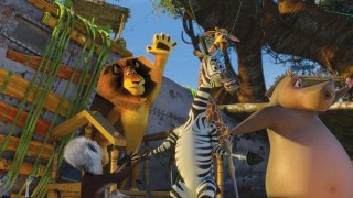 Кадр з фільму Мадагаскар 2