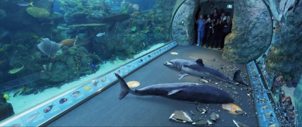 Кадр з фільму Акваріум мерців