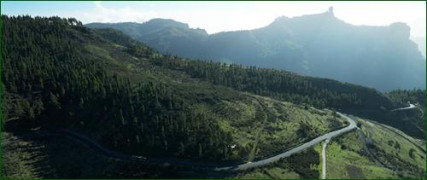 Кадр з фільму Спляча