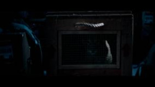 Кадр з фільму Вовк і лев