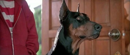 Кадр з фільму Ніжний звір