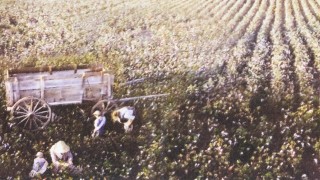 Кадр з фільму Місце у серці