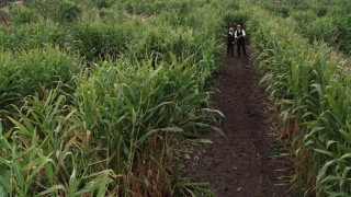 Кадр з фільму Прощення амішів