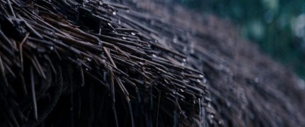 Кадр з фільму Мовчання