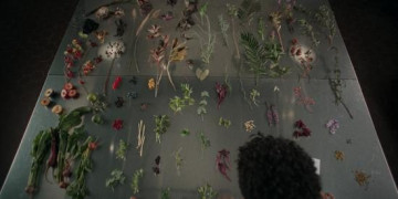 Кадр з фільму Будинок здобичі