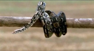 Кадр з фільму Обитель диявола