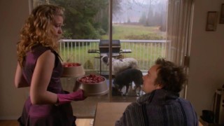 Кадр з фільму Собачий сніданок