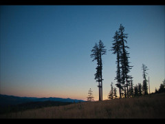 Кадр з фільму Потяг у снах