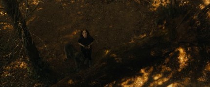 Кадр з фільму Після весілля