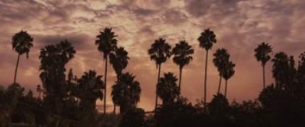 Кадр з фільму М'ята