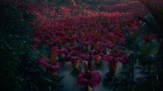 Кадр з фільму Дора і загублене місто