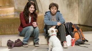 Кадр з фільму Готель для собак