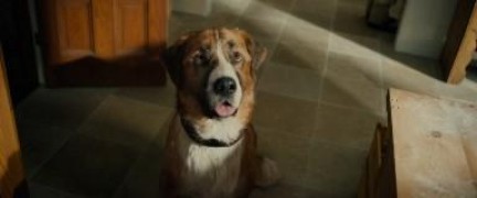 Кадр з фільму Поклик пращурів